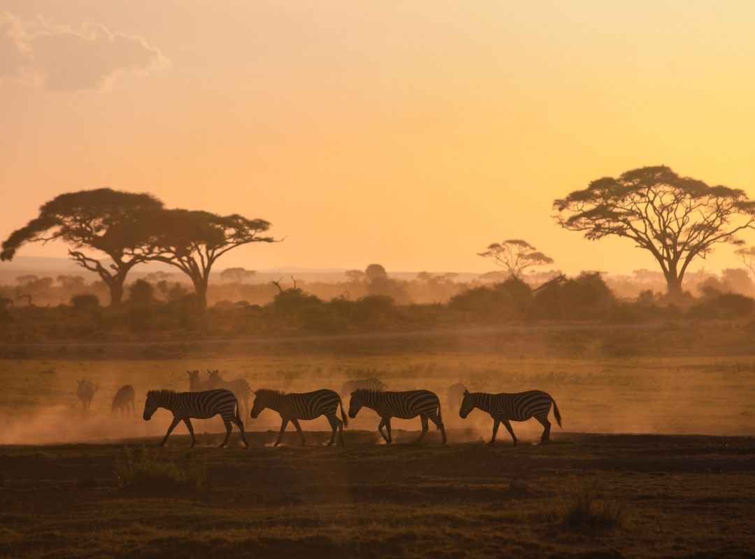 9-Day Luxury Tanzania Wildlife Safari with Hot Air Balloon