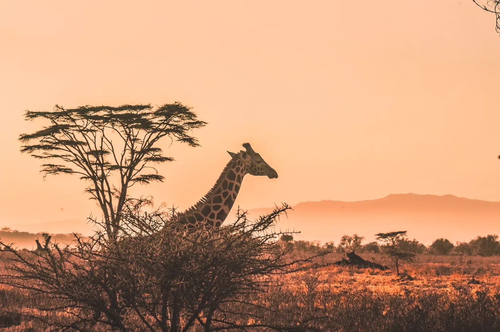 Choosing a Kilimanjaro route