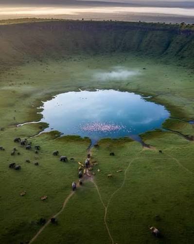 6-Day Arusha to Ngorongoro Wild Safari Grand Adventure