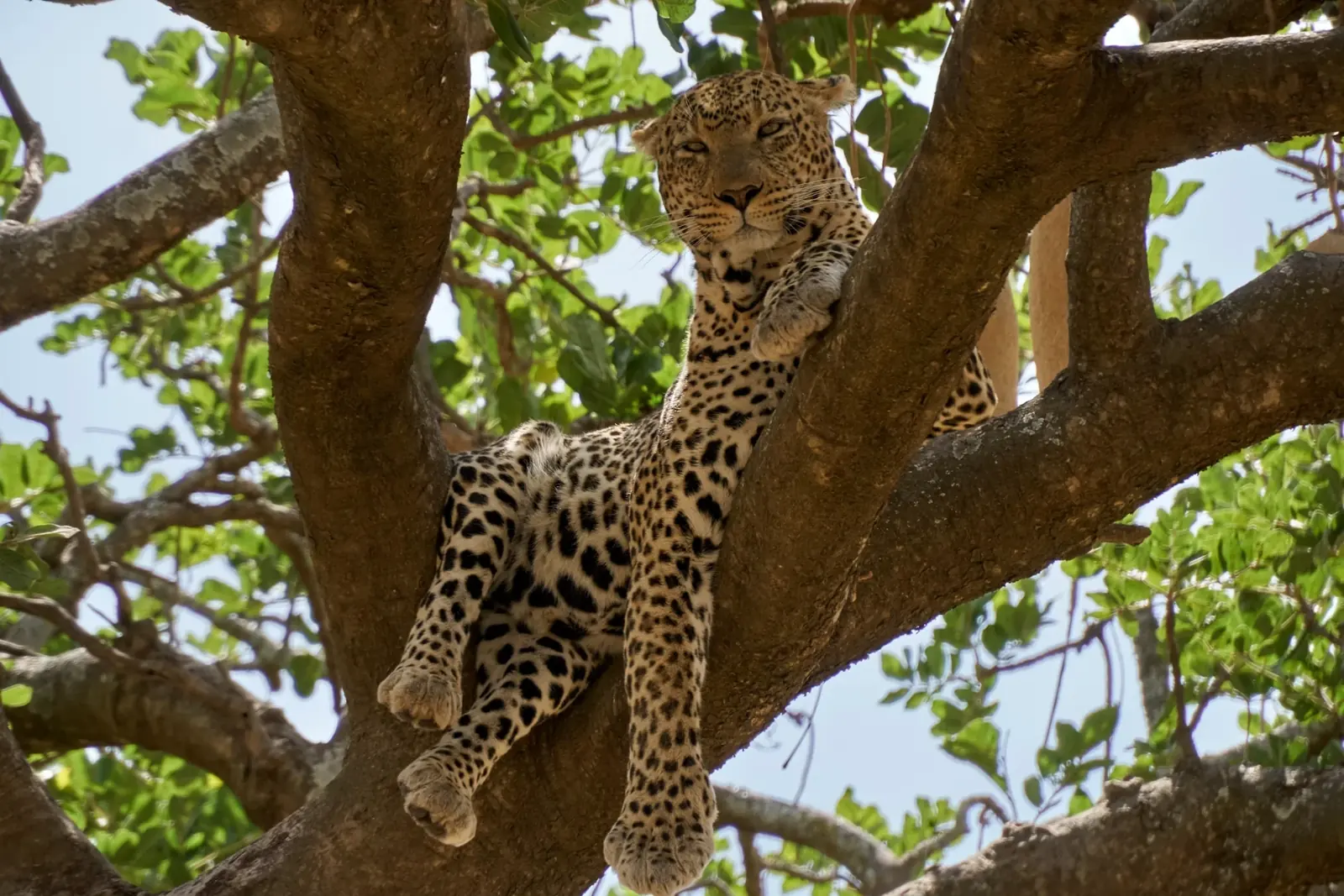 Lake Manyara