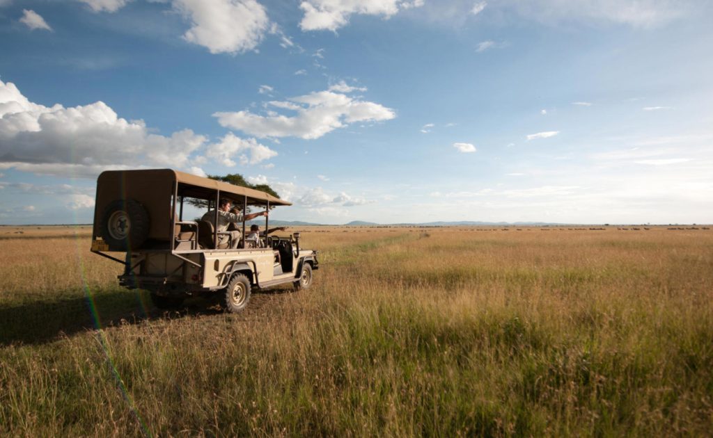 game drive tanzania