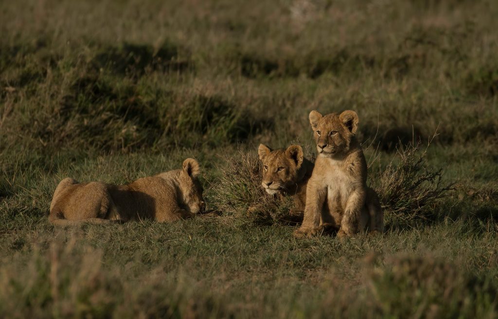 Serengeti National Park