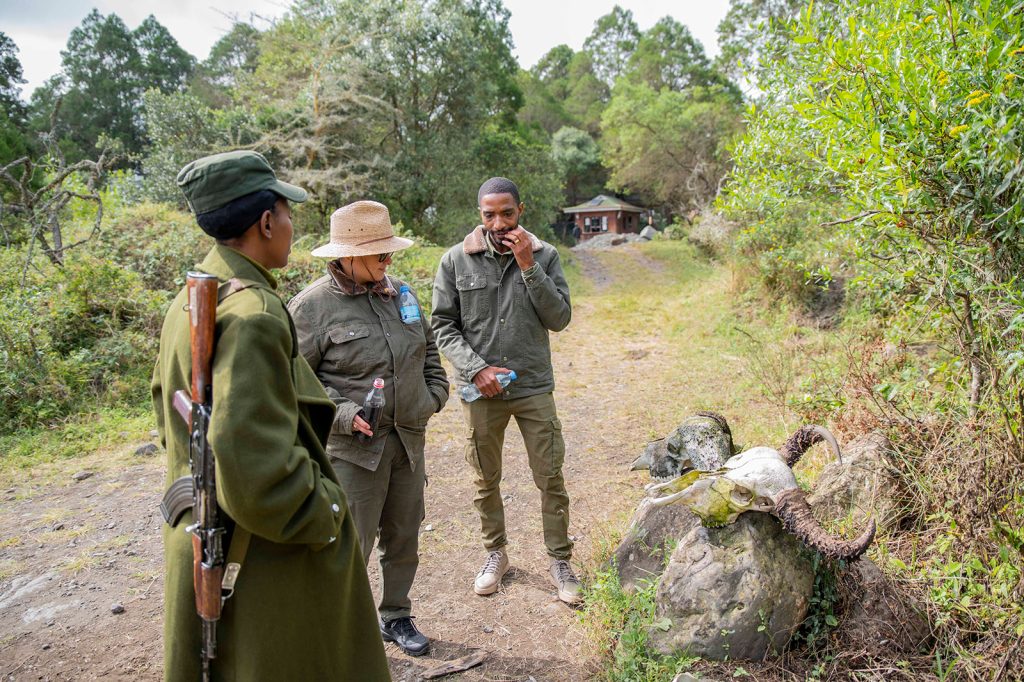 Why Your End-of-Year Safari or 2026 Getaway Should Start in Tanzania & East Africa