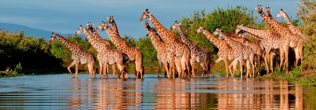 Nyerere National Park