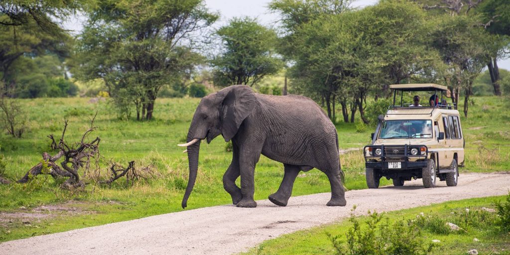 Arusha National Park