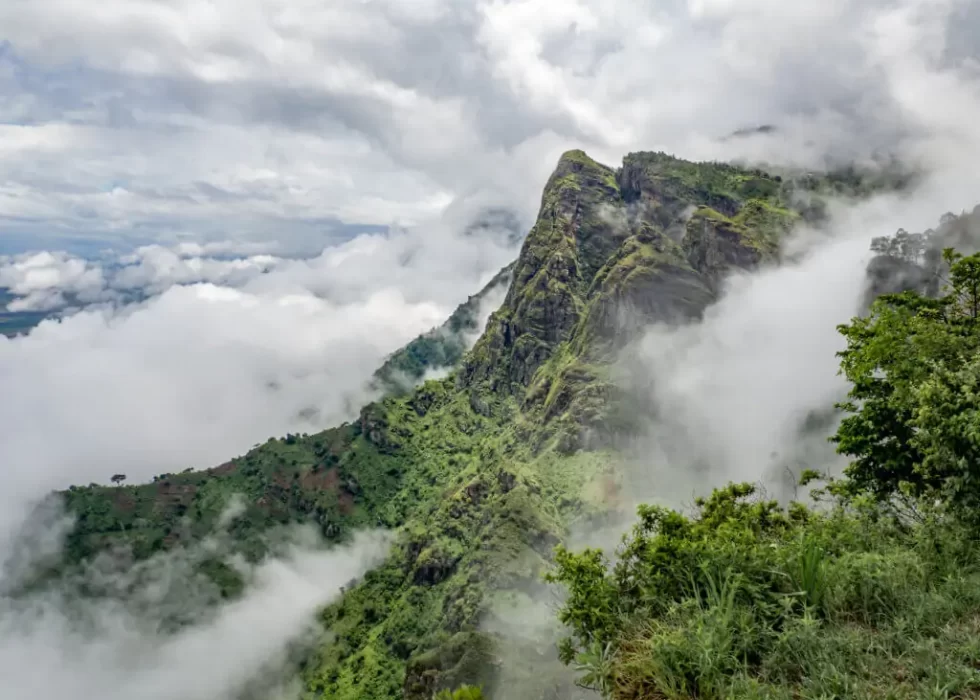 Hiking-at-Usambara-Mountains-with-Tanzania-Horizon-Safaris-26-1024x768
