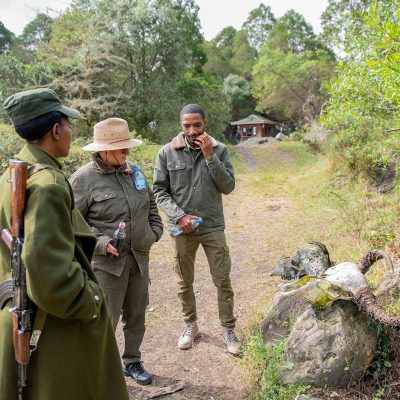 Why Your End-of-Year Safari or 2026 Getaway Should Start in Tanzania & East Africa